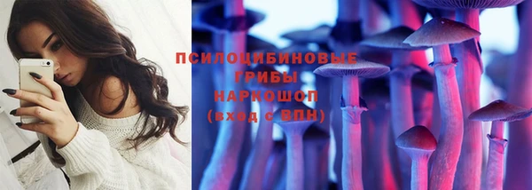 гидра Алексин