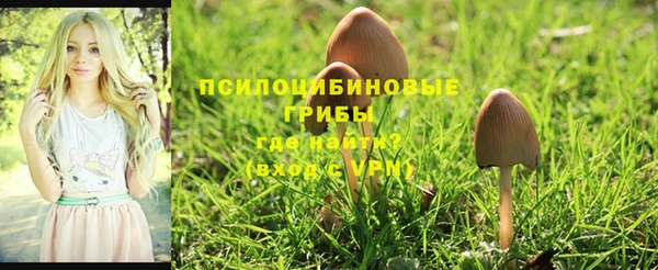 гидра Алексин