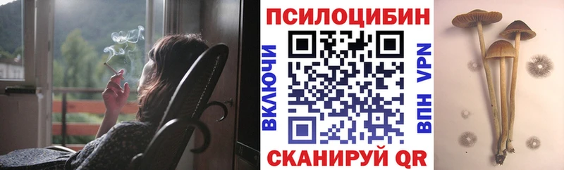 KRAKEN ссылка  Белгород  Галлюциногенные грибы ЛСД  darknet официальный сайт  как найти закладки 