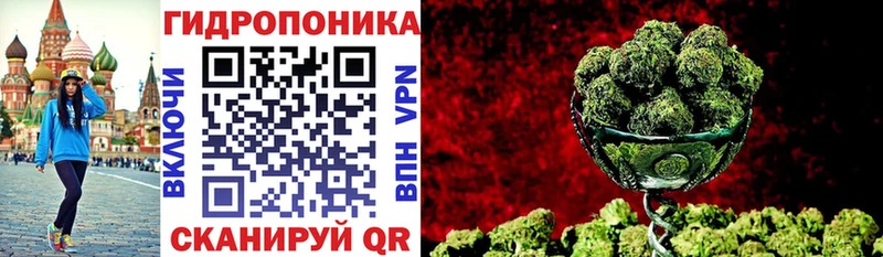 Бошки марихуана VHQ  продажа наркотиков  Белгород 